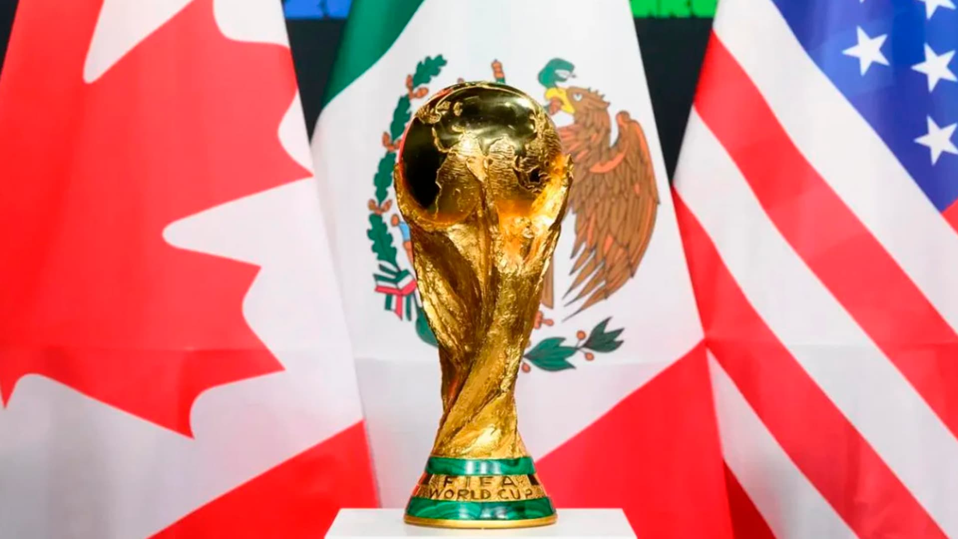 Bola nem rolou e já surgiu um campeão da copa do mundo